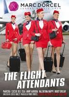 法国空姐2018多塞尔航空完整版百度云
